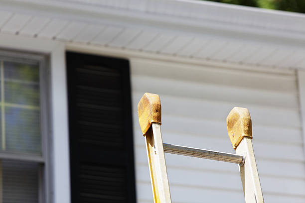 Best Carpet Removal and Disposal  in Hardinsburg, KY